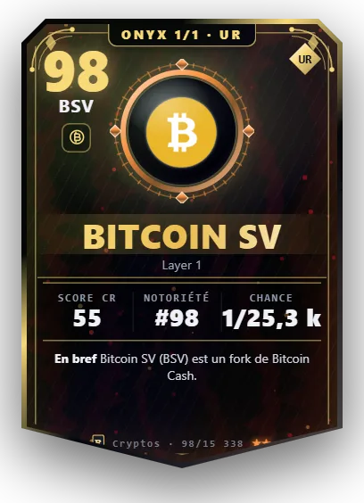 Carte Reflex Bitcoin SV, version Onyx 1/1