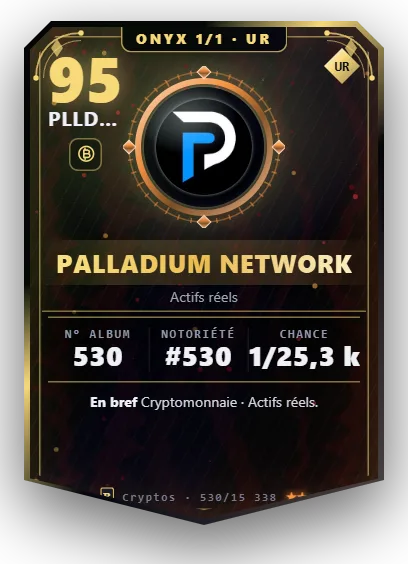 Carte Reflex Palladium Network, version Onyx 1/1
