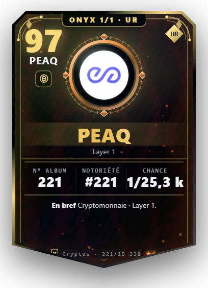 Carte Reflex peaq, version Onyx 1/1