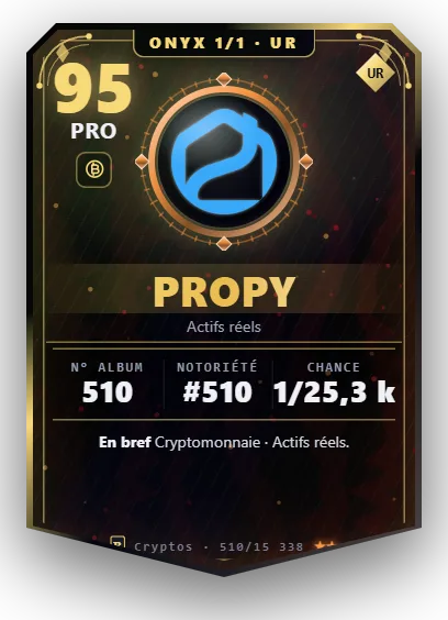 Carte Reflex Propy, version Onyx 1/1