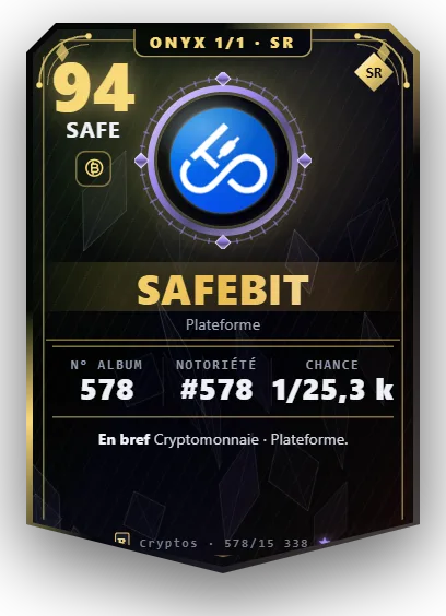 Carte Reflex SAFEbit, version Onyx 1/1