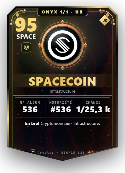 Carte Reflex Spacecoin, version Onyx 1/1
