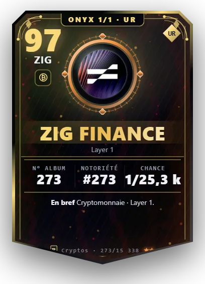 Carte Reflex ZIG Finance, version Onyx 1/1